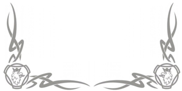 наклейка скания серебро